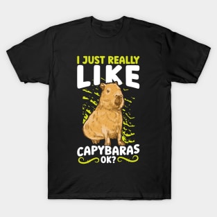 I Just Really Like Capybaras, OK? T-Shirt